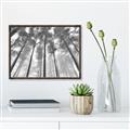 Picture of Sky High Trees _GroupedProduct_Rectangle_Landscape_Photography _GroupedProduct_Rectangle_Landscape_Canvas_Framed_