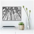 Picture of Sky High Trees _GroupedProduct_Rectangle_Landscape_Photography _GroupedProduct_Rectangle_Landscape_Canvas_Framed_