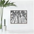 Picture of Sky High Trees _GroupedProduct_Rectangle_Landscape_Photography _GroupedProduct_Rectangle_Landscape_Canvas_Framed_