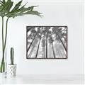 Picture of Sky High Trees _GroupedProduct_Rectangle_Landscape_Photography _GroupedProduct_Rectangle_Landscape_Canvas_Framed_