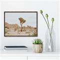 Picture of Dessert Tree _GroupedProduct_Rectangle_Landscape_Photography _GroupedProduct_Rectangle_Landscape_Canvas_Framed_