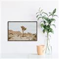 Picture of Dessert Tree _GroupedProduct_Rectangle_Landscape_Photography _GroupedProduct_Rectangle_Landscape_Canvas_Framed_