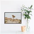 Picture of Dessert Tree _GroupedProduct_Rectangle_Landscape_Photography _GroupedProduct_Rectangle_Landscape_Canvas_Framed_