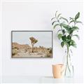 Picture of Dessert Tree _GroupedProduct_Rectangle_Landscape_Photography _GroupedProduct_Rectangle_Landscape_Canvas_Framed_