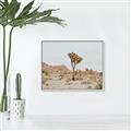 Picture of Dessert Tree _GroupedProduct_Rectangle_Landscape_Photography _GroupedProduct_Rectangle_Landscape_Canvas_Framed_