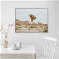 Picture of Dessert Tree _GroupedProduct_Rectangle_Landscape_Photography _GroupedProduct_Rectangle_Landscape_Canvas_Framed_