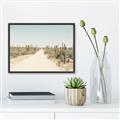 Picture of Cactus Row _GroupedProduct_Rectangle_Landscape_Photography _GroupedProduct_Rectangle_Landscape_Canvas_Framed_