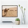 Picture of Camel Walk _GroupedProduct_Rectangle_Landscape_Photography _GroupedProduct_Rectangle_Landscape_Canvas_Framed_