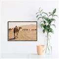 Picture of Camel Walk _GroupedProduct_Rectangle_Landscape_Photography _GroupedProduct_Rectangle_Landscape_Canvas_Framed_