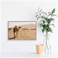 Picture of Camel Walk _GroupedProduct_Rectangle_Landscape_Photography _GroupedProduct_Rectangle_Landscape_Canvas_Framed_