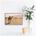 Picture of Camel Walk _GroupedProduct_Rectangle_Landscape_Photography _GroupedProduct_Rectangle_Landscape_Canvas_Framed_