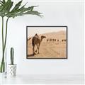 Picture of Camel Walk _GroupedProduct_Rectangle_Landscape_Photography _GroupedProduct_Rectangle_Landscape_Canvas_Framed_