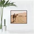 Picture of Camel Walk _GroupedProduct_Rectangle_Landscape_Photography _GroupedProduct_Rectangle_Landscape_Canvas_Framed_
