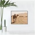 Picture of Camel Walk _GroupedProduct_Rectangle_Landscape_Photography _GroupedProduct_Rectangle_Landscape_Canvas_Framed_