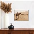 Picture of Camel Walk _GroupedProduct_Rectangle_Landscape_Photography _GroupedProduct_Rectangle_Landscape_Canvas_Framed_