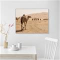 Picture of Camel Walk _GroupedProduct_Rectangle_Landscape_Photography _GroupedProduct_Rectangle_Landscape_Canvas_Framed_