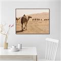 Picture of Camel Walk _GroupedProduct_Rectangle_Landscape_Photography _GroupedProduct_Rectangle_Landscape_Canvas_Framed_