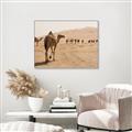 Picture of Camel Walk _GroupedProduct_Rectangle_Landscape_Photography _GroupedProduct_Rectangle_Landscape_Canvas_Framed_