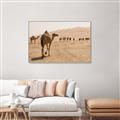 Picture of Camel Walk _GroupedProduct_Rectangle_Landscape_Photography _GroupedProduct_Rectangle_Landscape_Canvas_Framed_