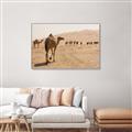 Picture of Camel Walk _GroupedProduct_Rectangle_Landscape_Photography _GroupedProduct_Rectangle_Landscape_Canvas_Framed_