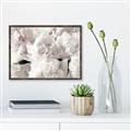 Picture of Fluffy Florals _GroupedProduct_Rectangle_Landscape_Photography _GroupedProduct_Rectangle_Landscape_Canvas_Framed_