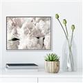 Picture of Fluffy Florals _GroupedProduct_Rectangle_Landscape_Photography _GroupedProduct_Rectangle_Landscape_Canvas_Framed_