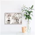 Picture of Fluffy Florals _GroupedProduct_Rectangle_Landscape_Photography _GroupedProduct_Rectangle_Landscape_Canvas_Framed_
