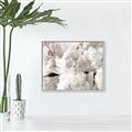 Picture of Fluffy Florals _GroupedProduct_Rectangle_Landscape_Photography _GroupedProduct_Rectangle_Landscape_Canvas_Framed_