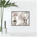 Picture of Fluffy Florals _GroupedProduct_Rectangle_Landscape_Photography _GroupedProduct_Rectangle_Landscape_Canvas_Framed_