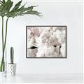 Picture of Fluffy Florals _GroupedProduct_Rectangle_Landscape_Photography _GroupedProduct_Rectangle_Landscape_Canvas_Framed_