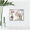 Picture of Fluffy Florals _GroupedProduct_Rectangle_Landscape_Photography _GroupedProduct_Rectangle_Landscape_Canvas_Framed_
