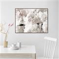 Picture of Fluffy Florals _GroupedProduct_Rectangle_Landscape_Photography _GroupedProduct_Rectangle_Landscape_Canvas_Framed_