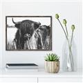 Picture of Bull in the Grass _GroupedProduct_Rectangle_Landscape_Photography _GroupedProduct_Rectangle_Landscape_Canvas_Framed_