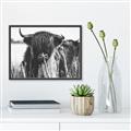 Picture of Bull in the Grass _GroupedProduct_Rectangle_Landscape_Photography _GroupedProduct_Rectangle_Landscape_Canvas_Framed_