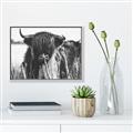 Picture of Bull in the Grass _GroupedProduct_Rectangle_Landscape_Photography _GroupedProduct_Rectangle_Landscape_Canvas_Framed_