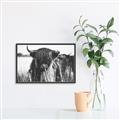 Picture of Bull in the Grass _GroupedProduct_Rectangle_Landscape_Photography _GroupedProduct_Rectangle_Landscape_Canvas_Framed_