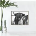 Picture of Bull in the Grass _GroupedProduct_Rectangle_Landscape_Photography _GroupedProduct_Rectangle_Landscape_Canvas_Framed_