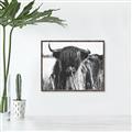 Picture of Bull in the Grass _GroupedProduct_Rectangle_Landscape_Photography _GroupedProduct_Rectangle_Landscape_Canvas_Framed_