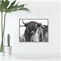Picture of Bull in the Grass _GroupedProduct_Rectangle_Landscape_Photography _GroupedProduct_Rectangle_Landscape_Canvas_Framed_