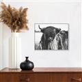 Picture of Bull in the Grass _GroupedProduct_Rectangle_Landscape_Photography _GroupedProduct_Rectangle_Landscape_Canvas_Framed_