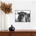 Picture of Bull in the Grass _GroupedProduct_Rectangle_Landscape_Photography _GroupedProduct_Rectangle_Landscape_Canvas_Framed_