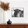 Picture of Bull in the Grass _GroupedProduct_Rectangle_Landscape_Photography _GroupedProduct_Rectangle_Landscape_Canvas_Framed_