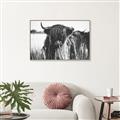 Picture of Bull in the Grass _GroupedProduct_Rectangle_Landscape_Photography _GroupedProduct_Rectangle_Landscape_Canvas_Framed_