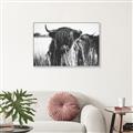 Picture of Bull in the Grass _GroupedProduct_Rectangle_Landscape_Photography _GroupedProduct_Rectangle_Landscape_Canvas_Framed_