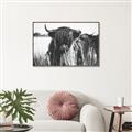 Picture of Bull in the Grass _GroupedProduct_Rectangle_Landscape_Photography _GroupedProduct_Rectangle_Landscape_Canvas_Framed_