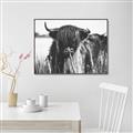 Picture of Bull in the Grass _GroupedProduct_Rectangle_Landscape_Photography _GroupedProduct_Rectangle_Landscape_Canvas_Framed_
