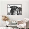 Picture of Bull in the Grass _GroupedProduct_Rectangle_Landscape_Photography _GroupedProduct_Rectangle_Landscape_Canvas_Framed_