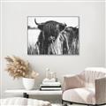 Picture of Bull in the Grass _GroupedProduct_Rectangle_Landscape_Photography _GroupedProduct_Rectangle_Landscape_Canvas_Framed_