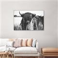 Picture of Bull in the Grass _GroupedProduct_Rectangle_Landscape_Photography _GroupedProduct_Rectangle_Landscape_Canvas_Framed_