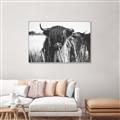 Picture of Bull in the Grass _GroupedProduct_Rectangle_Landscape_Photography _GroupedProduct_Rectangle_Landscape_Canvas_Framed_